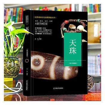 天珠:典藏版