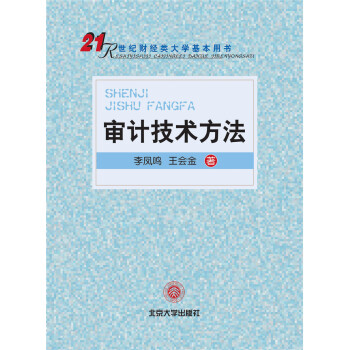 審計技術方法
