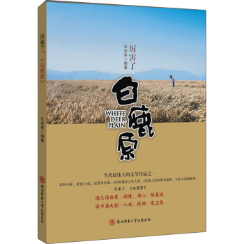 厲害了白鹿原 厲害了白鹿原