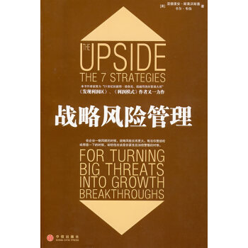 戰(zhàn)略風(fēng)險管理 戰(zhàn)略風(fēng)險管理