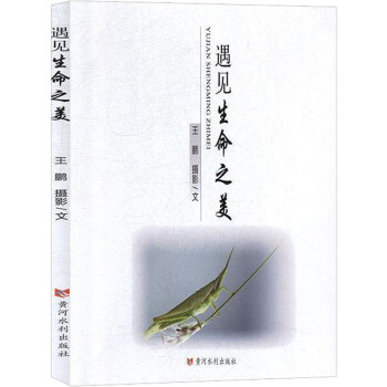 遇見生命之美 遇見生命之美
