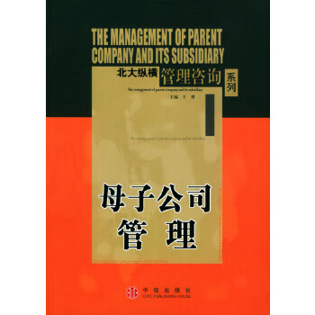母子公司管理 母子公司管理