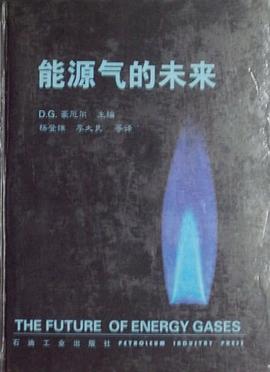 能源氣的未來 能源氣的未來