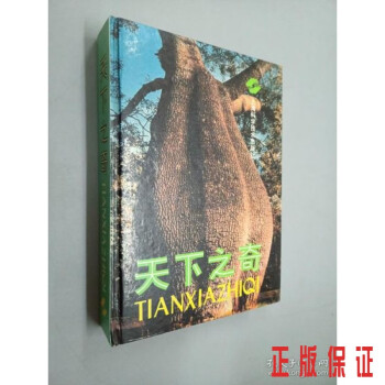 天下之奇精裝 天下之奇精裝