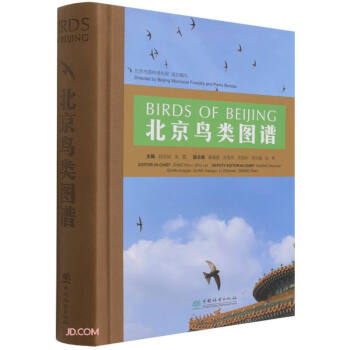 北京鳥類圖譜 北京鳥類圖譜