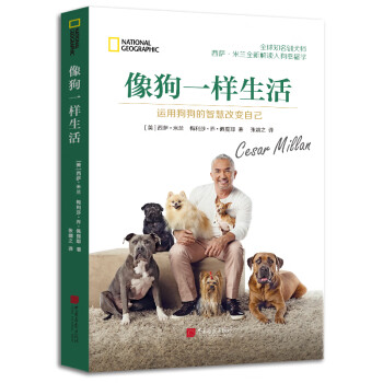 像狗一樣生活 像狗一樣生活