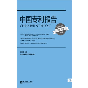 中國專利報告
