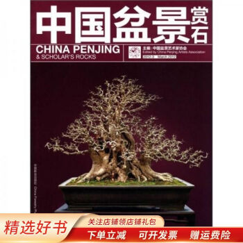 中國盆景賞石 中國盆景賞石