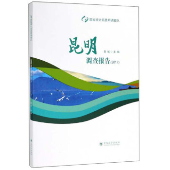 昆明調查報告