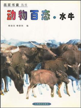 動物百態,水牛 動物百態,水牛