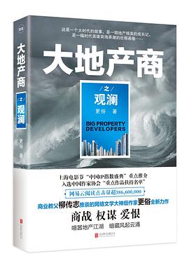 大地產(chǎn)商之觀瀾 大地產(chǎn)商之觀瀾