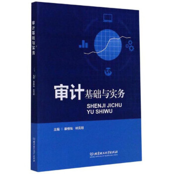 審計(jì)基礎(chǔ)與實(shí)務(wù) 審計(jì)基礎(chǔ)與實(shí)務(wù)