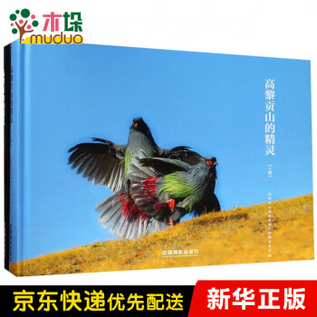 高黎貢山的精靈 高黎貢山的精靈