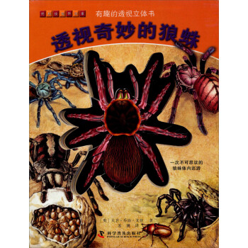 透視奇妙的狼蛛 透視奇妙的狼蛛