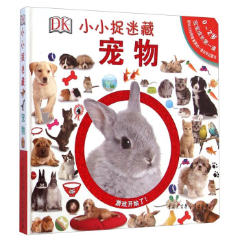 DK小小捉迷藏 DK小小捉迷藏