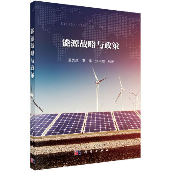 能源戰略與政策 能源戰略與政策
