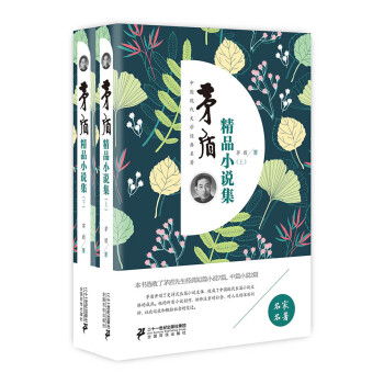 茅盾精品小說集 茅盾精品小說集