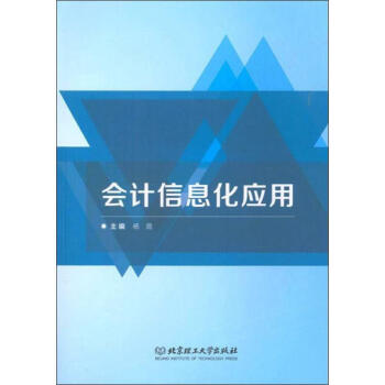 會計信息化應用 會計信息化應用
