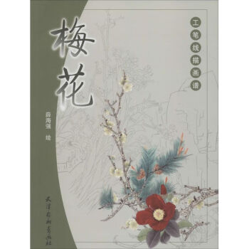 梅花薛海強書籍 梅花薛海強書籍