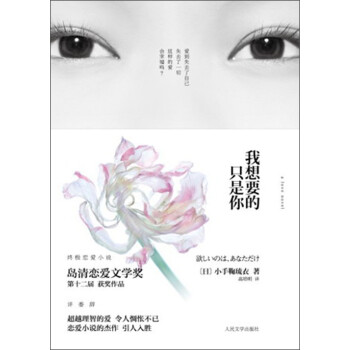 我想要的只是你 我想要的只是你