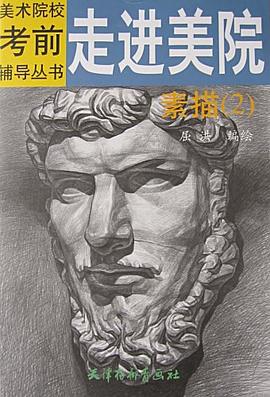走進(jìn)美院素描2 走進(jìn)美院素描2