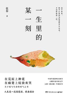一生里的某一刻 一生里的某一刻