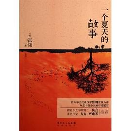 一個夏天的故事 一個夏天的故事