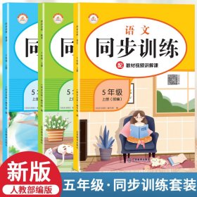同步訓練-語文 同步訓練-語文