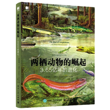 兩棲動物的崛起 兩棲動物的崛起