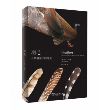 羽毛/自然文庫 羽毛/自然文庫