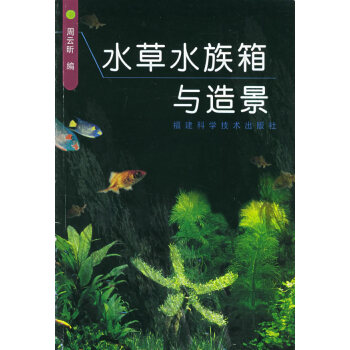 水水族箱與造景 水水族箱與造景