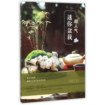超人氣迷你盆栽 超人氣迷你盆栽