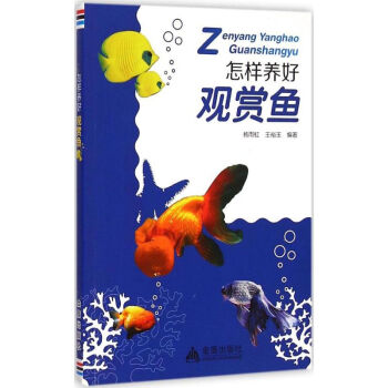 怎樣養好觀賞魚 怎樣養好觀賞魚