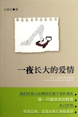 清末四大譴責小說 清末四大譴責小說