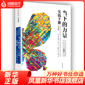 當下的力量實踐手冊 當下的力量實踐手冊