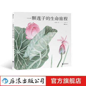 一顆蓮子的生命旅程 一顆蓮子的生命旅程
