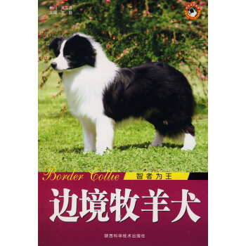 邊境牧羊犬智者為王 邊境牧羊犬智者為王