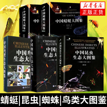 中國昆蟲生態(tài)大圖鑒 中國昆蟲生態(tài)大圖鑒