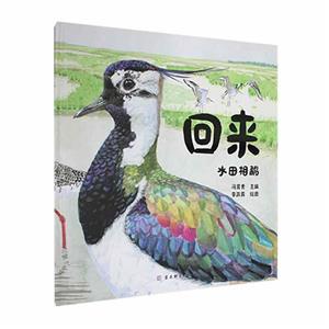 回來 回來