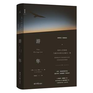 游隼 游隼
