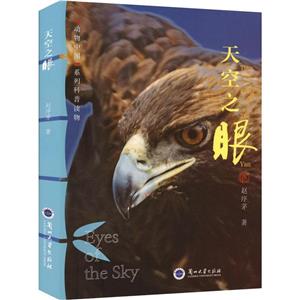 天空之眼 天空之眼