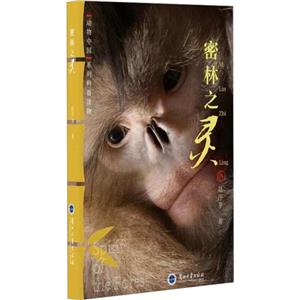 密林之靈 密林之靈