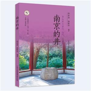 南京的井 南京的井