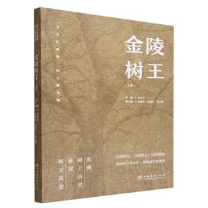 金陵樹王 金陵樹王
