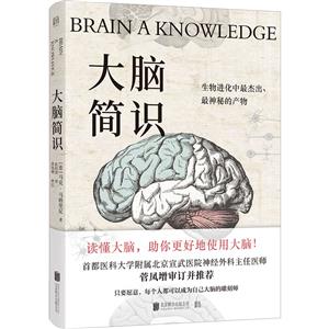 大腦簡識 大腦簡識