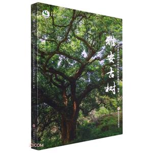 雅安古樹 雅安古樹