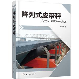 陣列式皮帶秤 陣列式皮帶秤