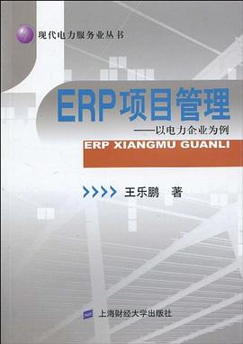 ERP項目管理 ERP項目管理