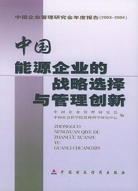 中國能源企業的戰略選擇與管理創新 中國能源企業的戰略選擇與管理創新