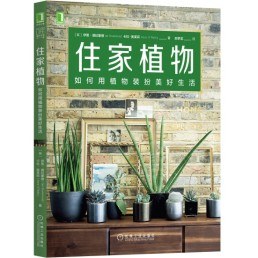 住家植物如何用植物裝扮美好生活 住家植物如何用植物裝扮美好生活
